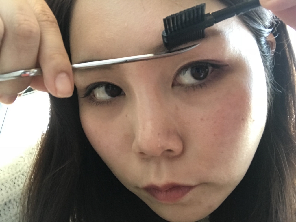 f:id:suzunasu:20180119150728j:plain f:id:suzunasu:20180119150728j:plain