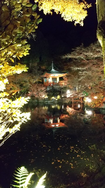f:id:suzusana:20211212211410j:image