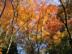 f:id:suzusiro130:20101121003518j:image f:id:suzusiro130:20101121003518j:image