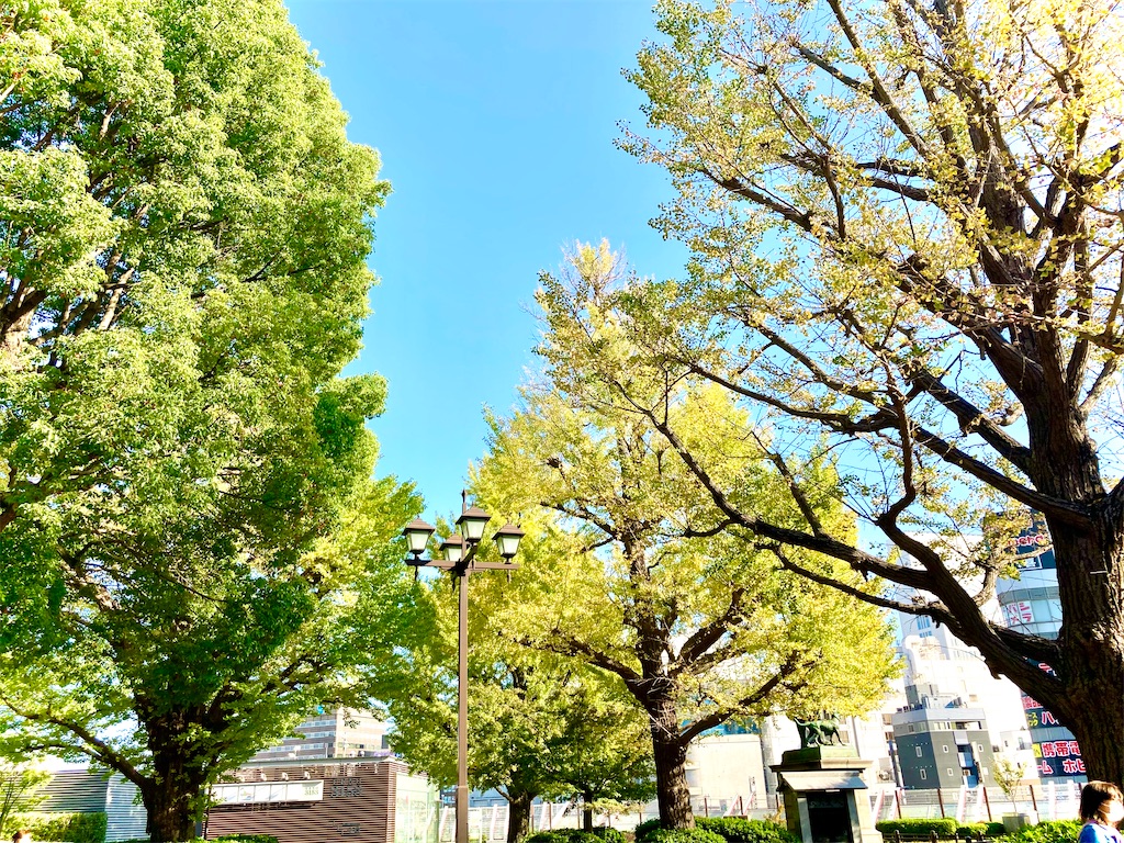 f:id:suzutango:20231109223417j:image