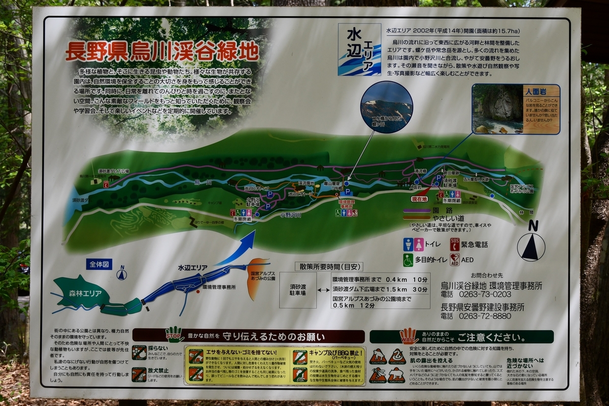 烏川渓谷緑地で野鳥散歩 - すずらん鳥の会