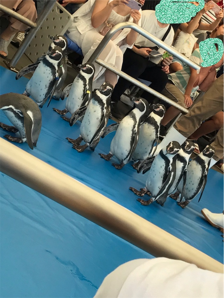 f:id:suzuyutaro:20190901225722j:image f:id:suzuyutaro:20190901225722j:image