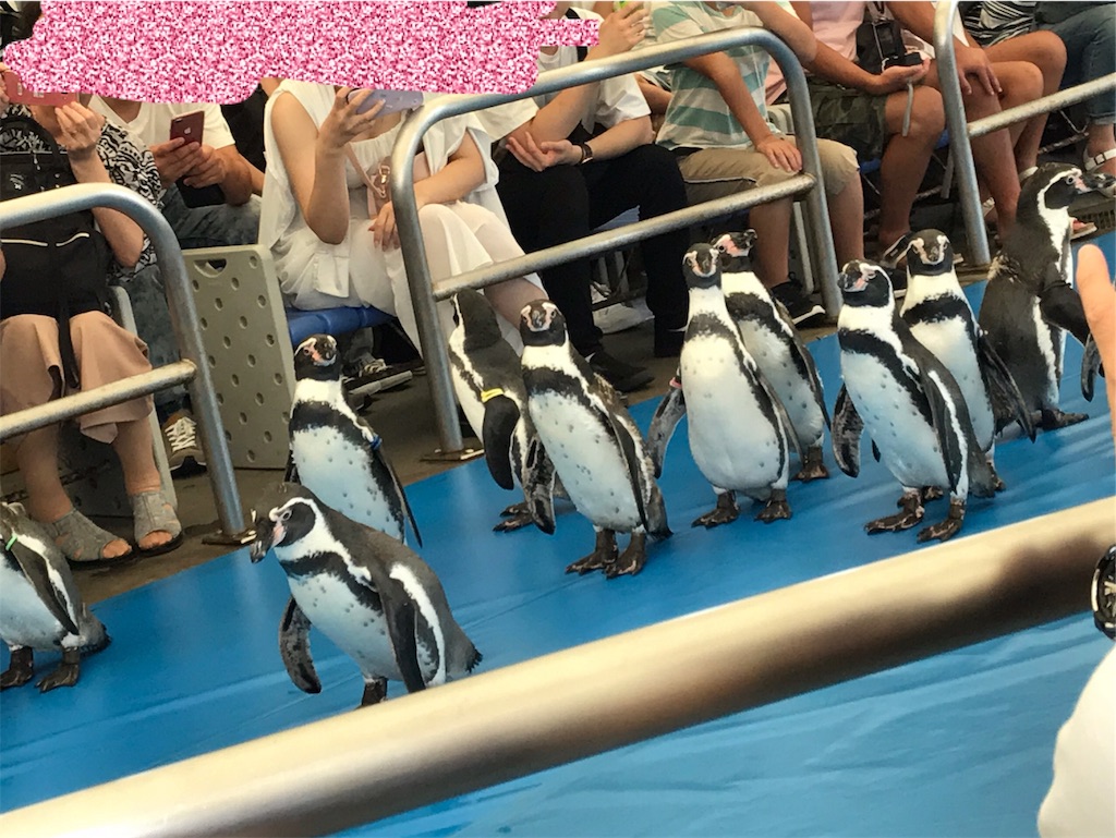 f:id:suzuyutaro:20190901225731j:image f:id:suzuyutaro:20190901225731j:image