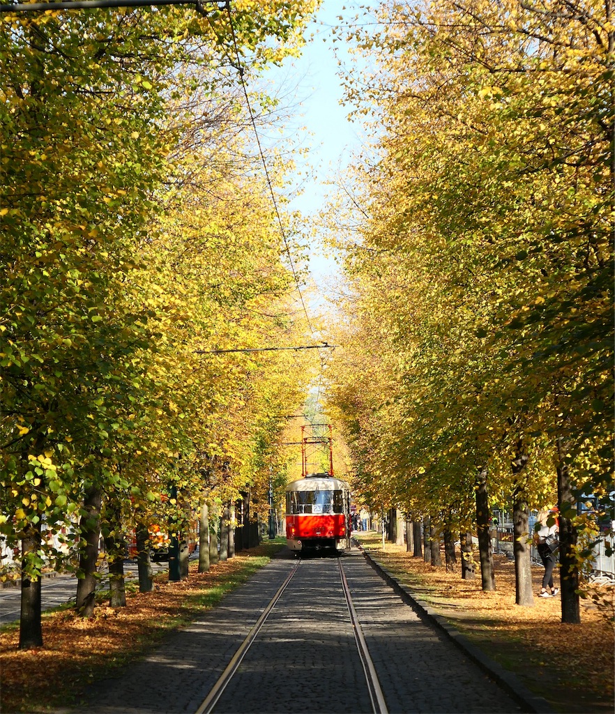 f:id:suzuyuzu:20191016060458j:image
