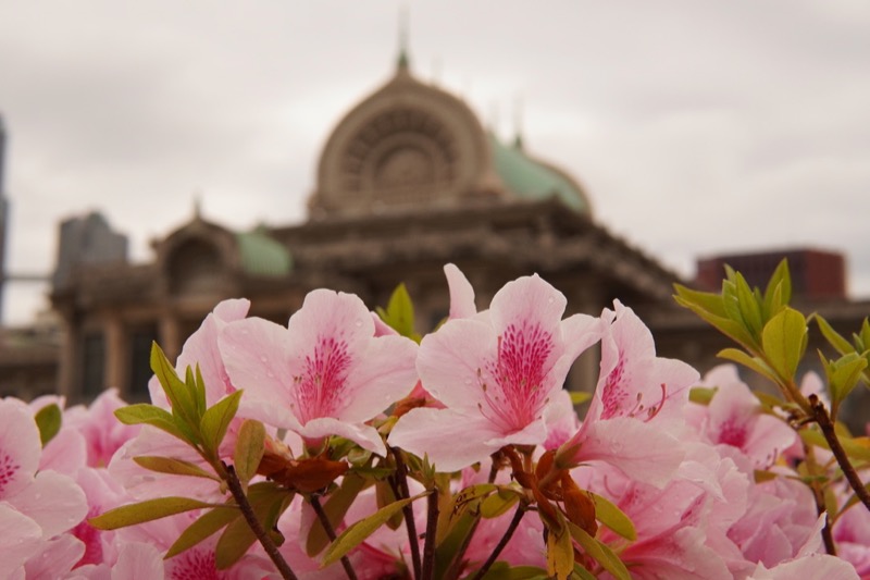 f:id:suzuzusan:20190427200912j:plain f:id:suzuzusan:20190427200912j:plain