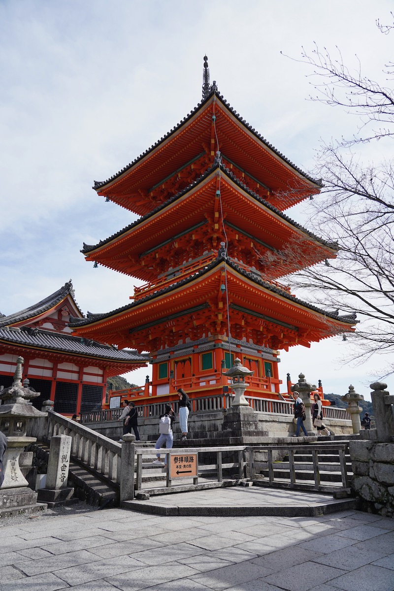 f:id:suzuzusan:20200319235548j:plain