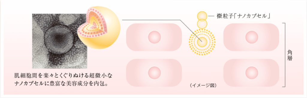 f:id:svam6479:20180421220401p:plain f:id:svam6479:20180421220401p:plain