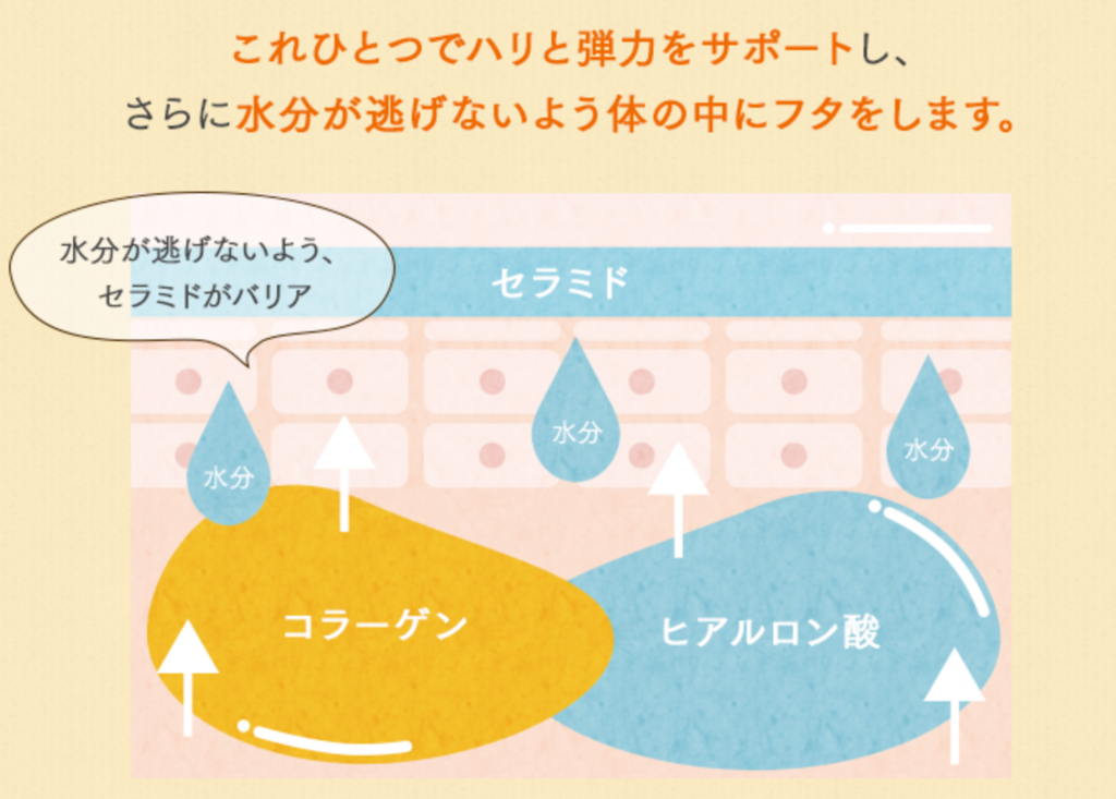 f:id:svam6479:20180511073203p:plain f:id:svam6479:20180511073203p:plain
