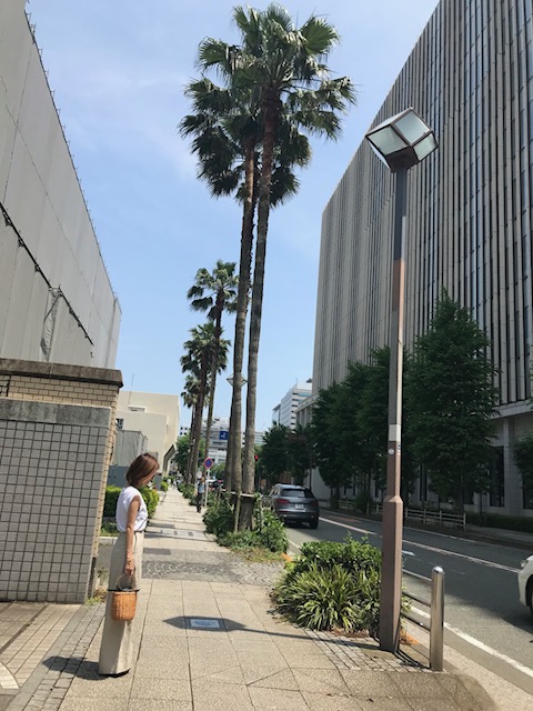 f:id:svam6479:20180610085321j:plain f:id:svam6479:20180610085321j:plain