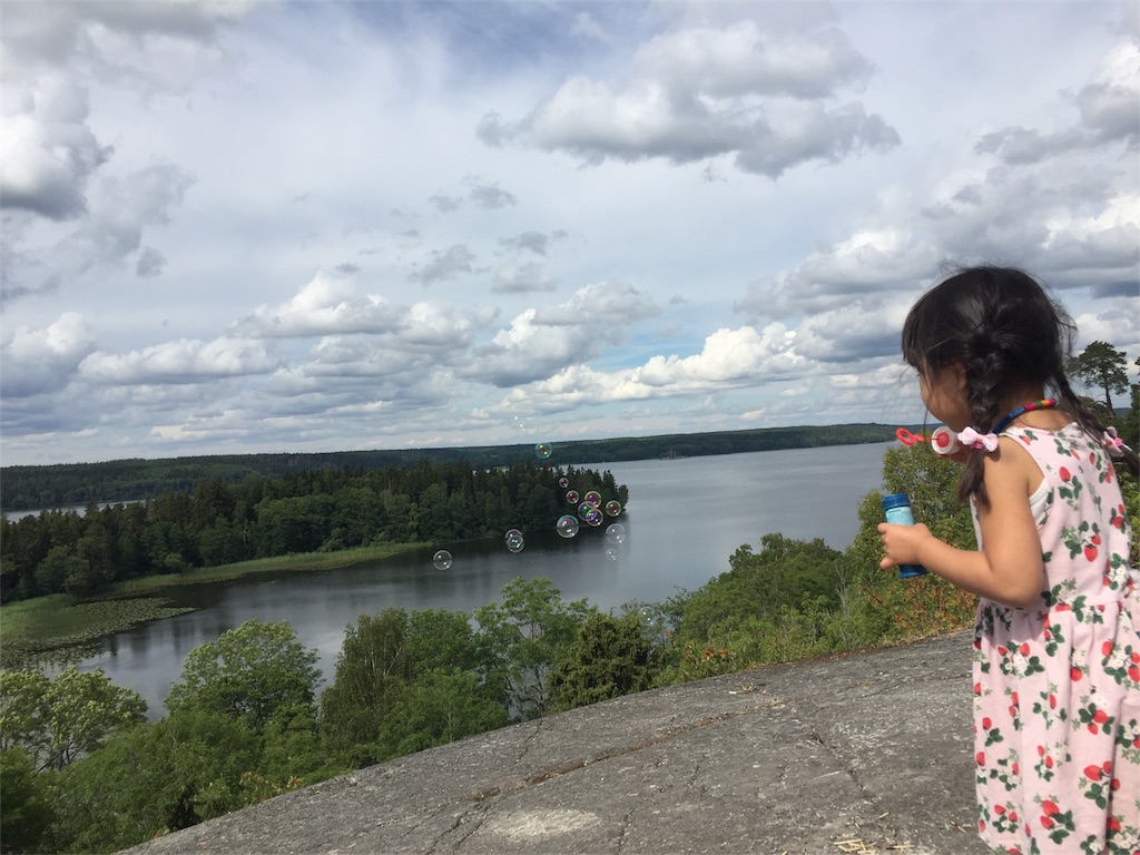 f:id:sverigeyoshi:20170729073501j:image f:id:sverigeyoshi:20170729073501j:image