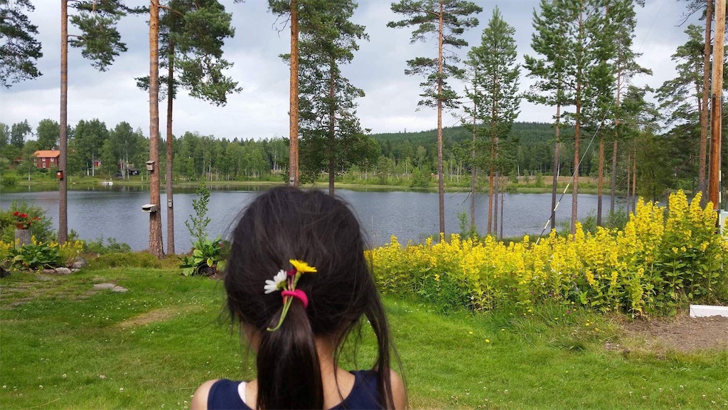 f:id:sverigeyoshi:20170729073544j:image f:id:sverigeyoshi:20170729073544j:image
