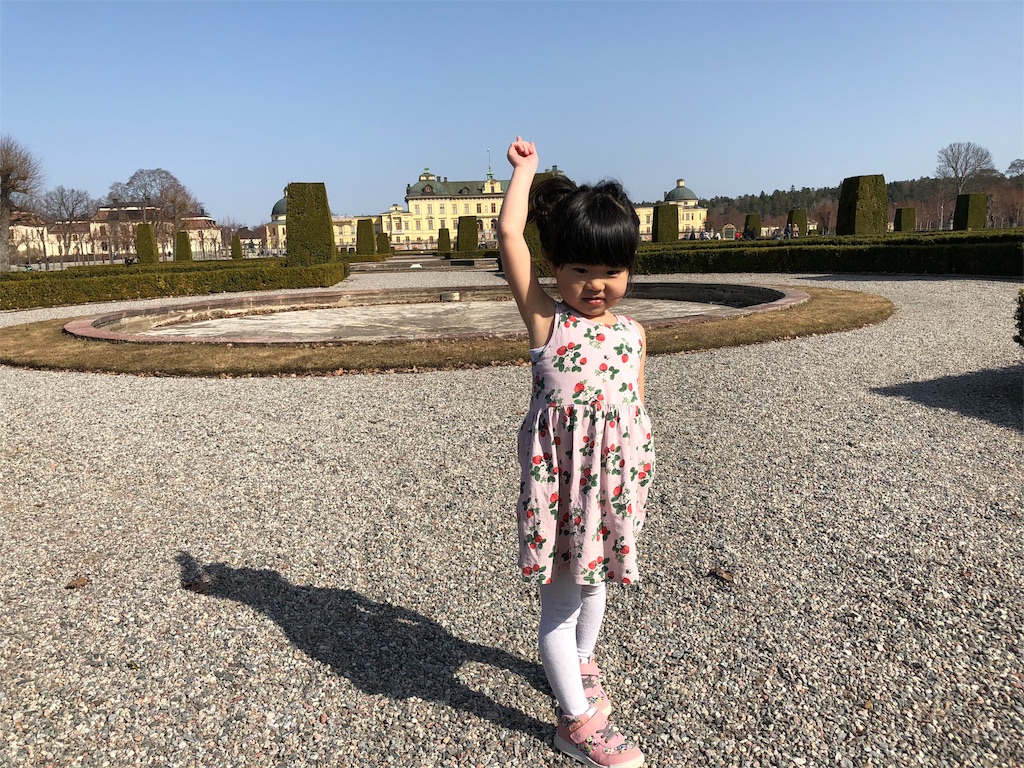 f:id:sverigeyoshi:20180415021731j:image f:id:sverigeyoshi:20180415021731j:image