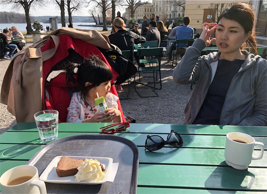 f:id:sverigeyoshi:20180415021840j:image f:id:sverigeyoshi:20180415021840j:image
