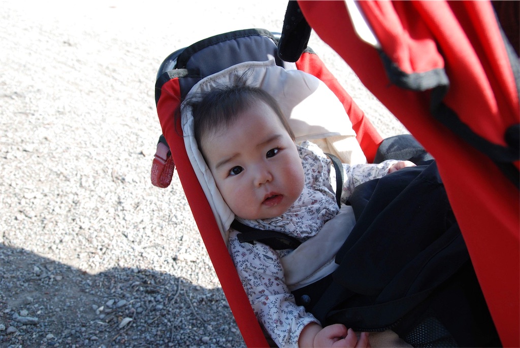 f:id:sverigeyoshi:20180415022103j:image f:id:sverigeyoshi:20180415022103j:image
