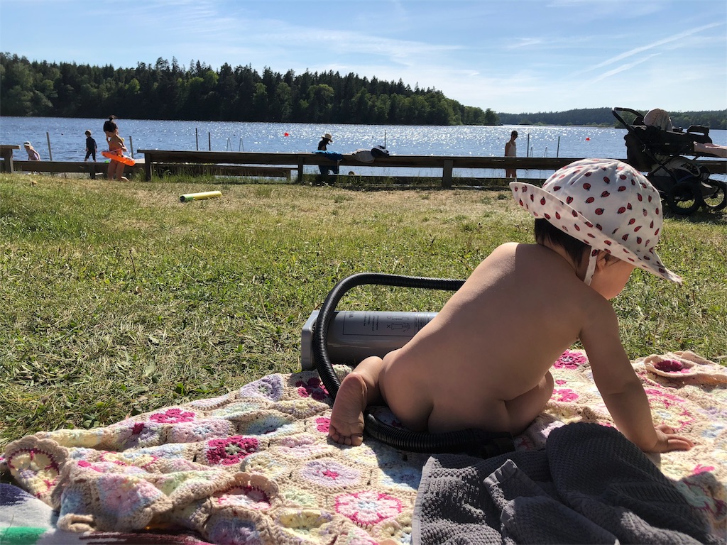 f:id:sverigeyoshi:20180527130600j:image f:id:sverigeyoshi:20180527130600j:image