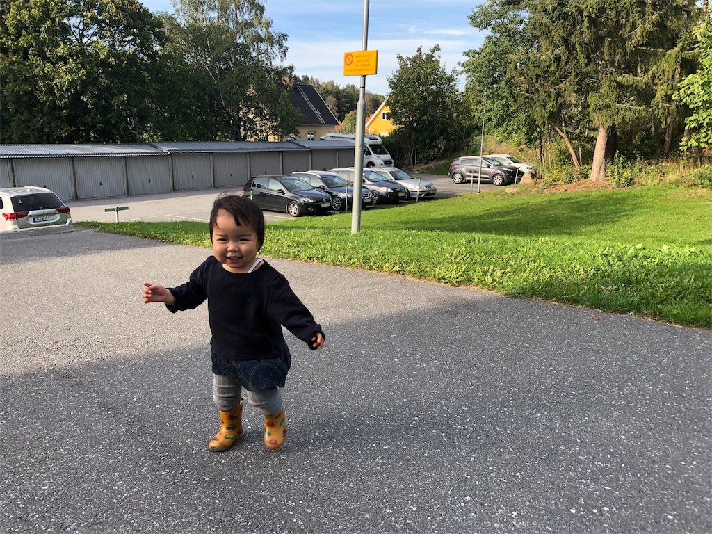 f:id:sverigeyoshi:20180914014440j:image f:id:sverigeyoshi:20180914014440j:image