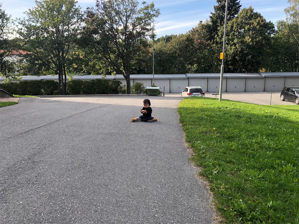 f:id:sverigeyoshi:20180914014457j:image f:id:sverigeyoshi:20180914014457j:image