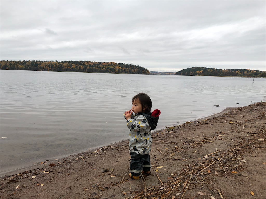 f:id:sverigeyoshi:20181016235359j:image f:id:sverigeyoshi:20181016235359j:image
