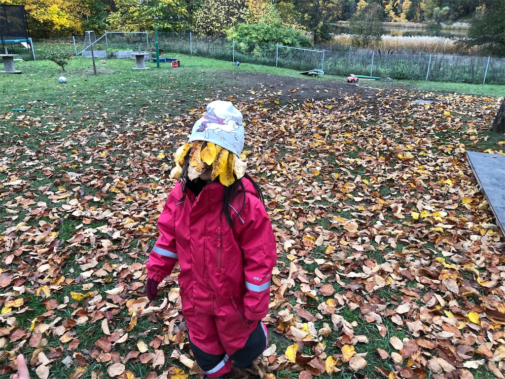 f:id:sverigeyoshi:20181016235412j:image f:id:sverigeyoshi:20181016235412j:image