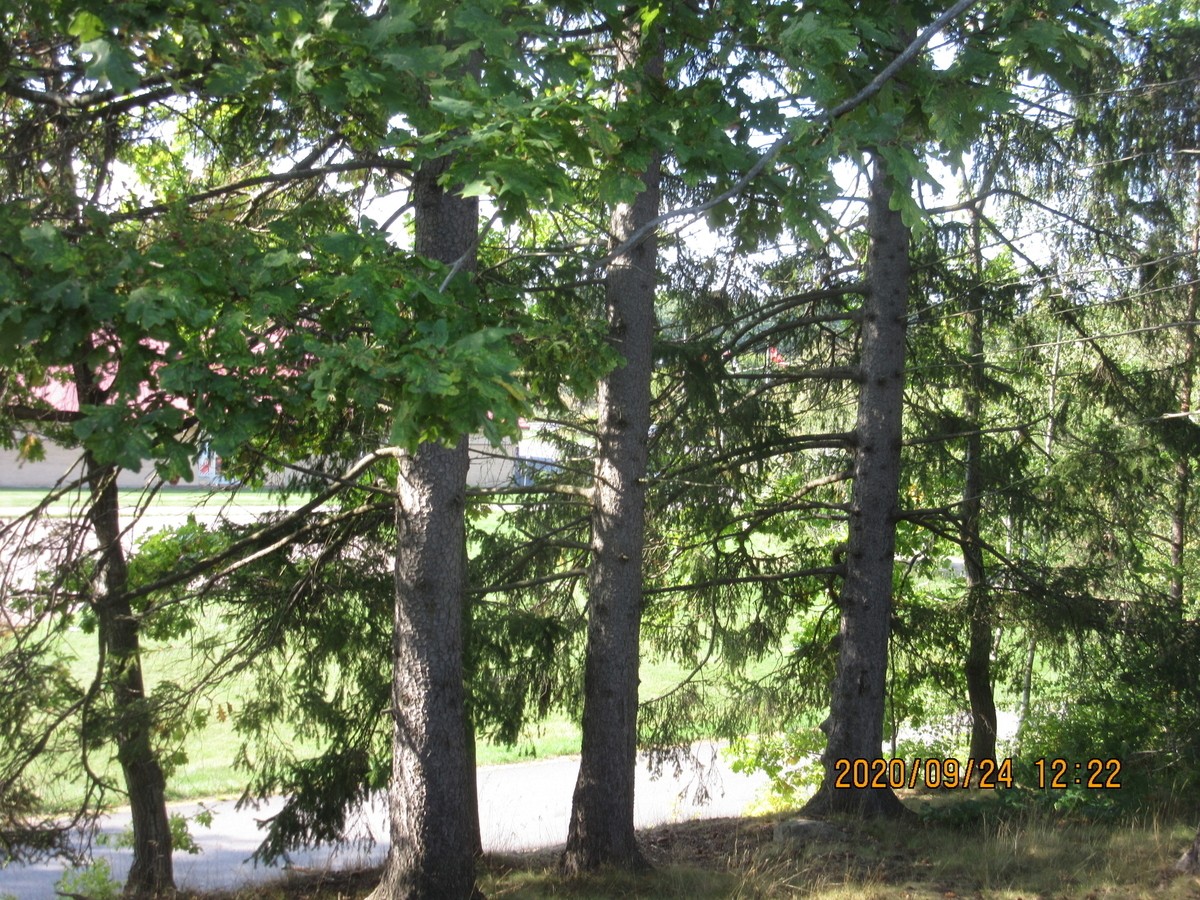 f:id:sveski:20200925040231j:plain f:id:sveski:20200925040231j:plain