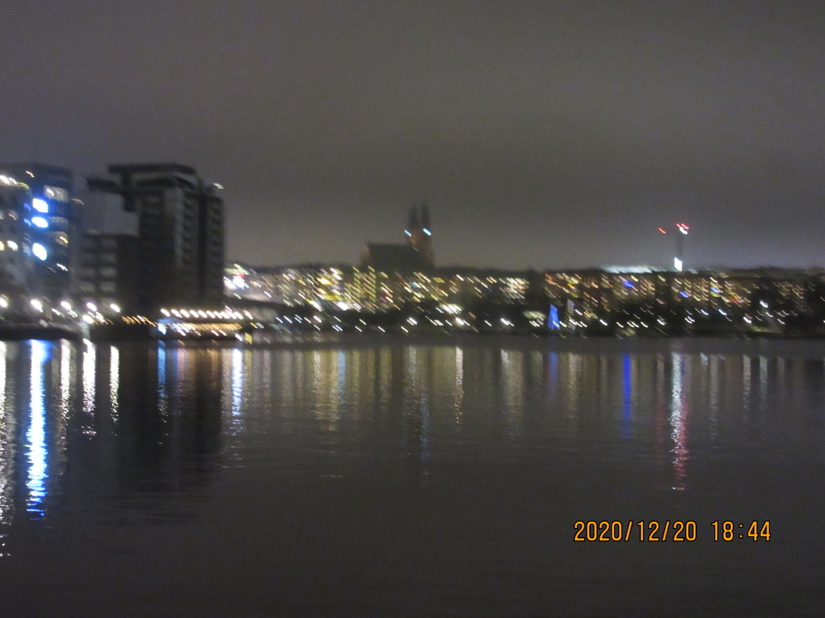 f:id:sveski:20201221053033j:plain