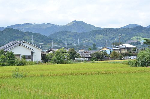 イメージ 1