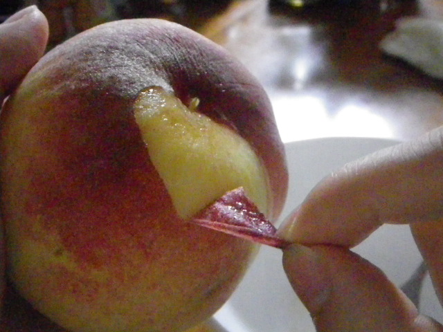 f:id:swakn13:20120730224151j:image f:id:swakn13:20120730224151j:image