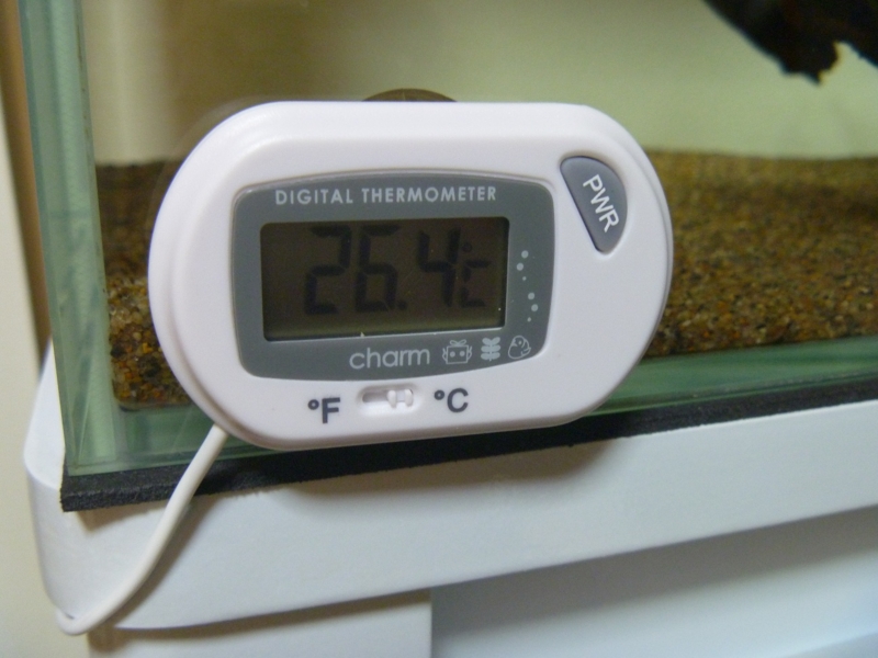 f:id:swallow04:20120726155243j:image:w640