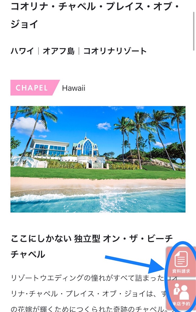 f:id:swallow178:20190309213115j:image f:id:swallow178:20190309213115j:image
