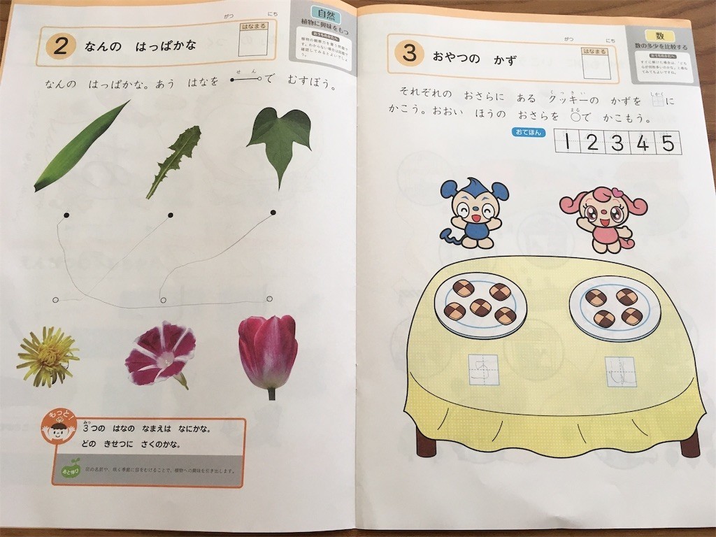f:id:sweet-orange:20191119015404j:image