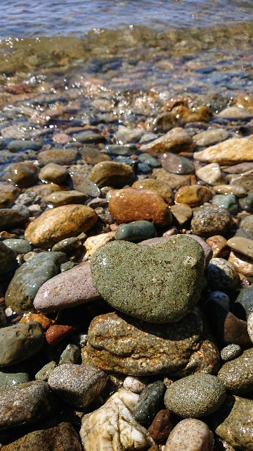f:id:sweet527:20200610054820j:image f:id:sweet527:20200610054820j:image