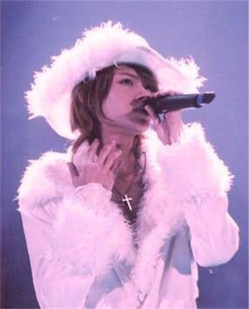f:id:sweetTiger:20200213192637j:image