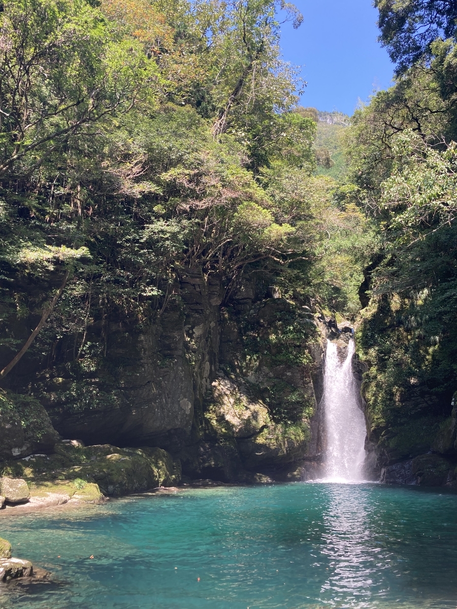 f:id:sweetclover194:20200928000027j:plain f:id:sweetclover194:20200928000027j:plain