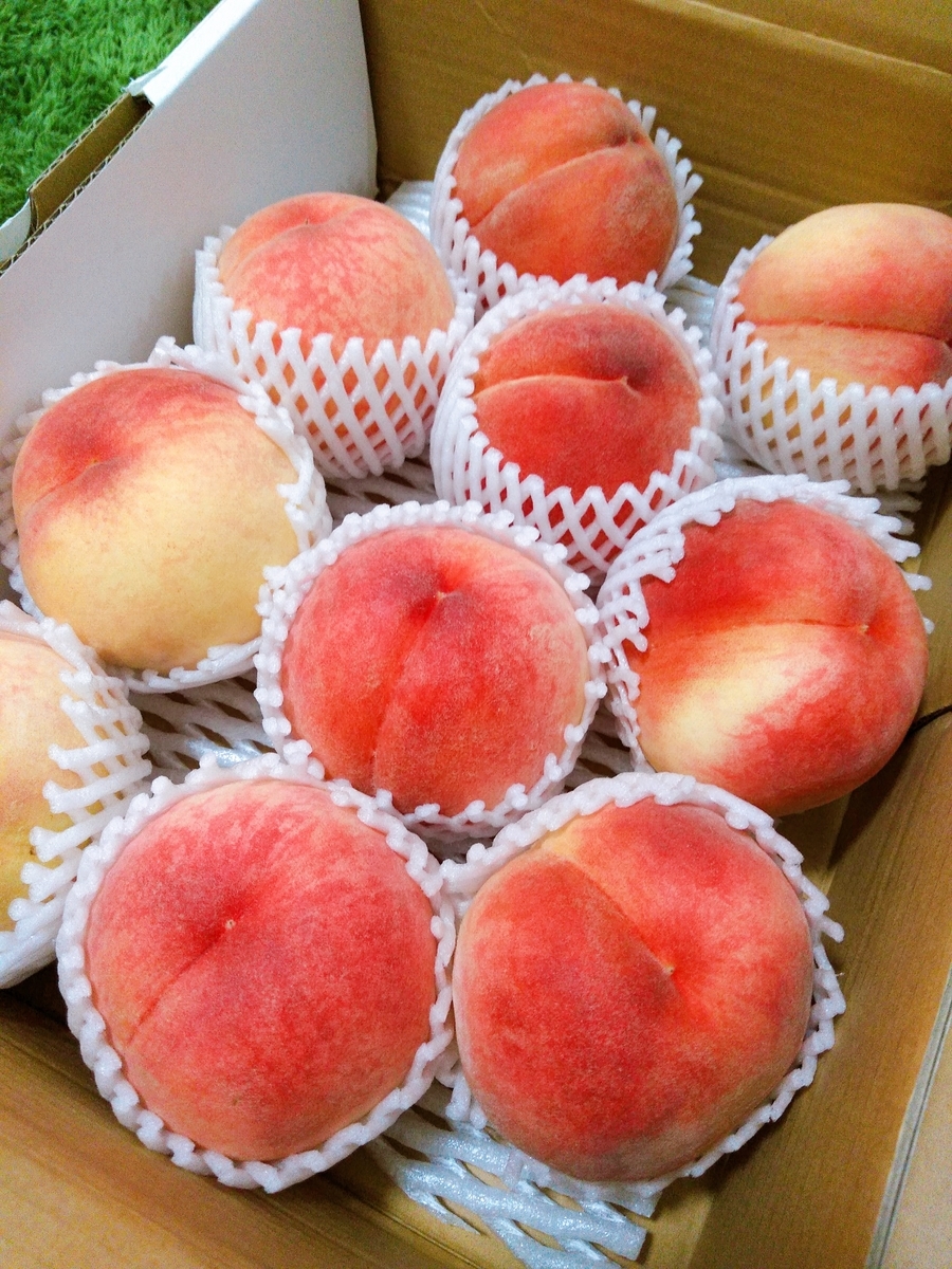 f:id:sweetcottoncandy1978:20190823164256j:plain f:id:sweetcottoncandy1978:20190823164256j:plain