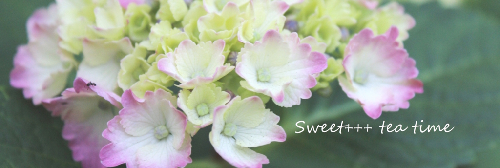 f:id:sweeteatime:20160224233223j:plain f:id:sweeteatime:20160224233223j:plain