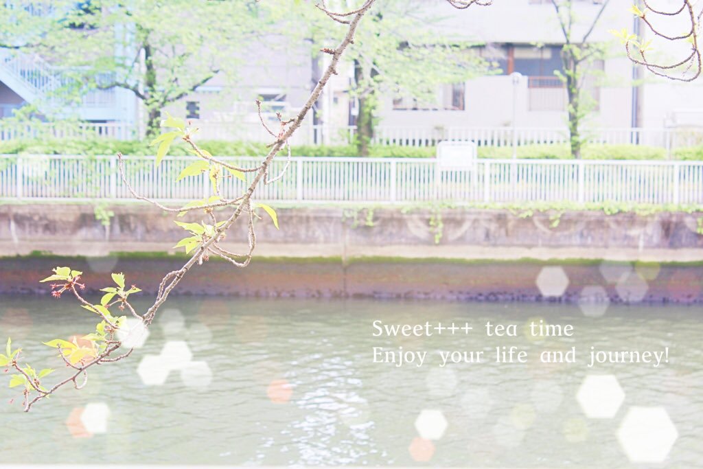 f:id:sweeteatime:20160608183553j:plain