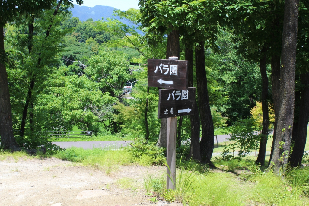 f:id:sweeteatime:20160809202320j:plain