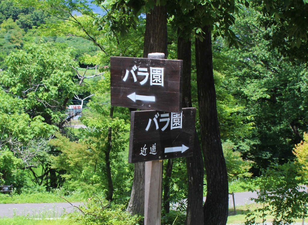 f:id:sweeteatime:20160809202327j:plain