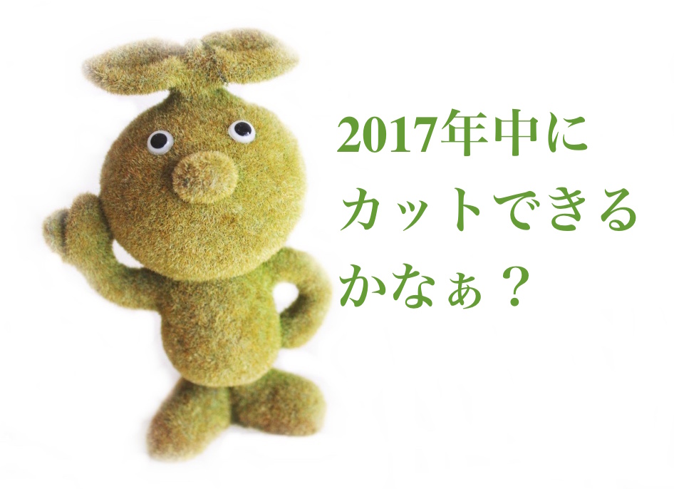 f:id:sweeteatime:20170302185612j:plain