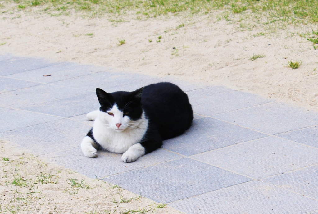 f:id:sweeteatime:20170304171329j:plain f:id:sweeteatime:20170304171329j:plain