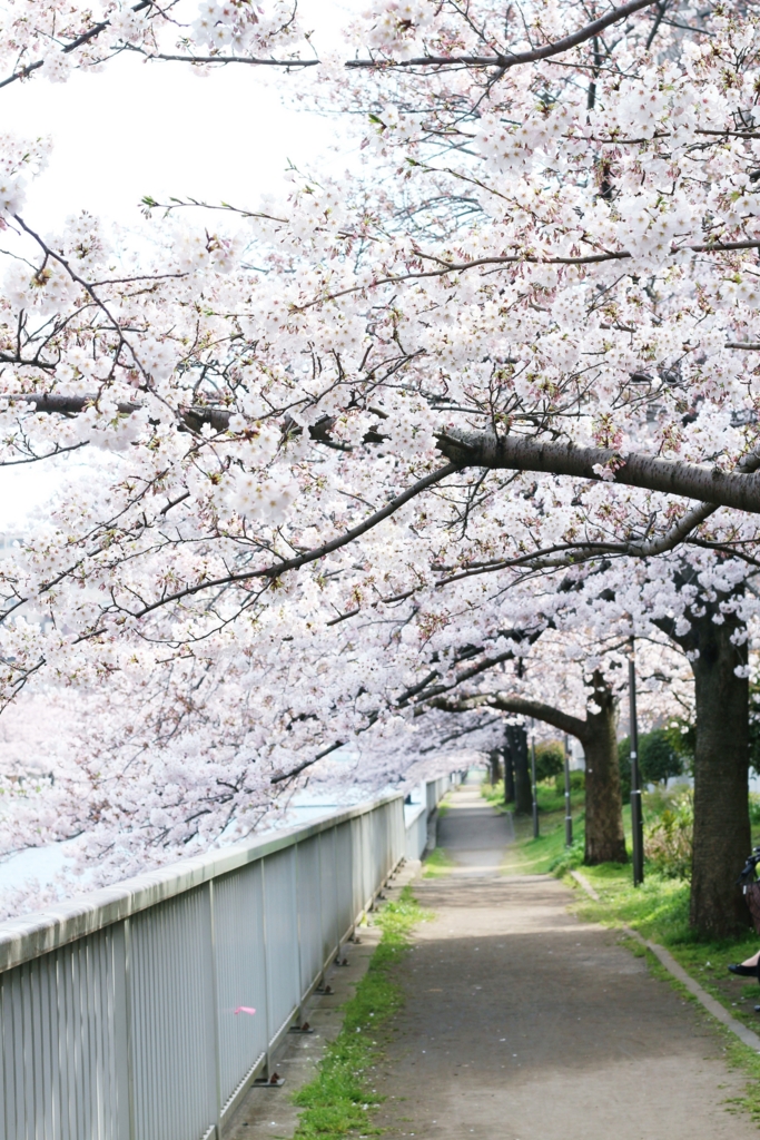 f:id:sweeteatime:20170406204616j:plain f:id:sweeteatime:20170406204616j:plain