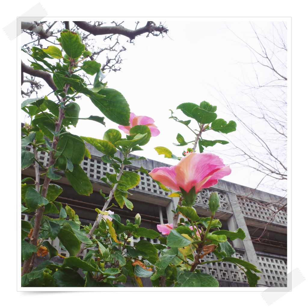 f:id:sweeteatime:20170428202001j:plain