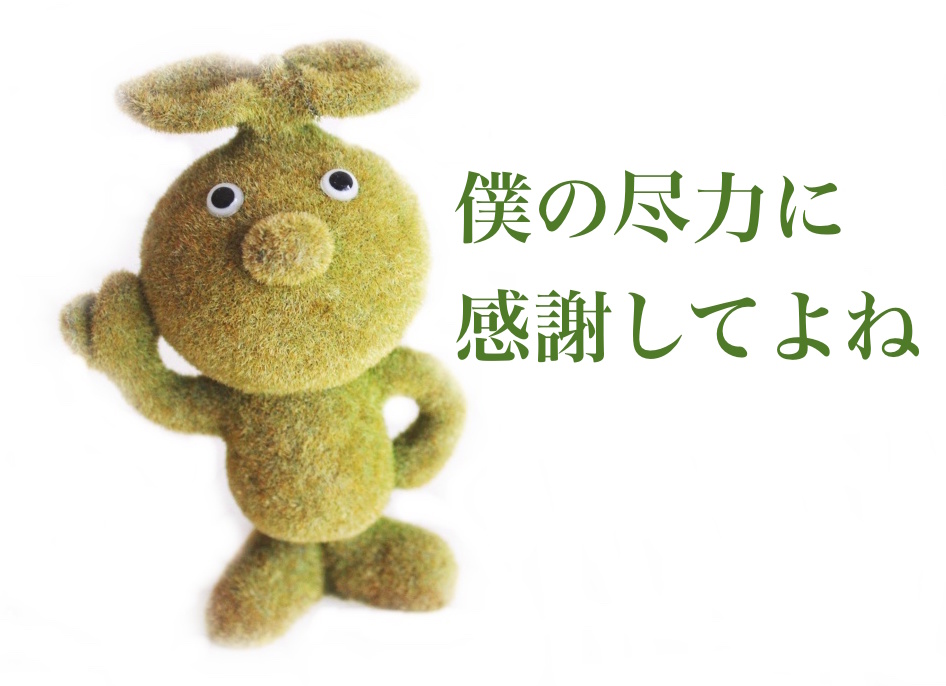 f:id:sweeteatime:20170505000205j:plain