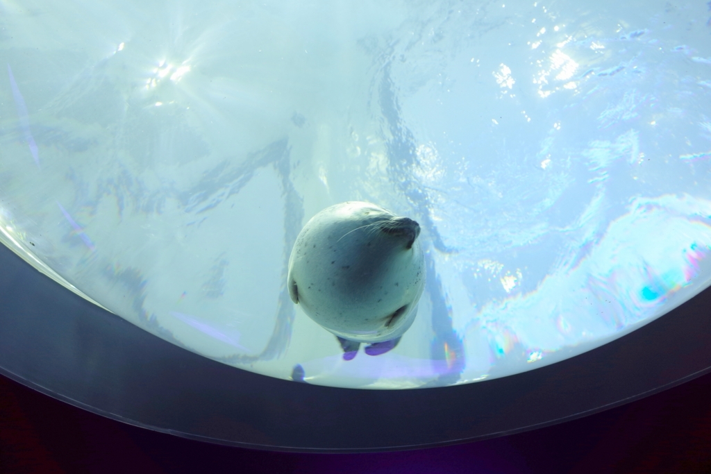 f:id:sweeteatime:20170616101816j:plain