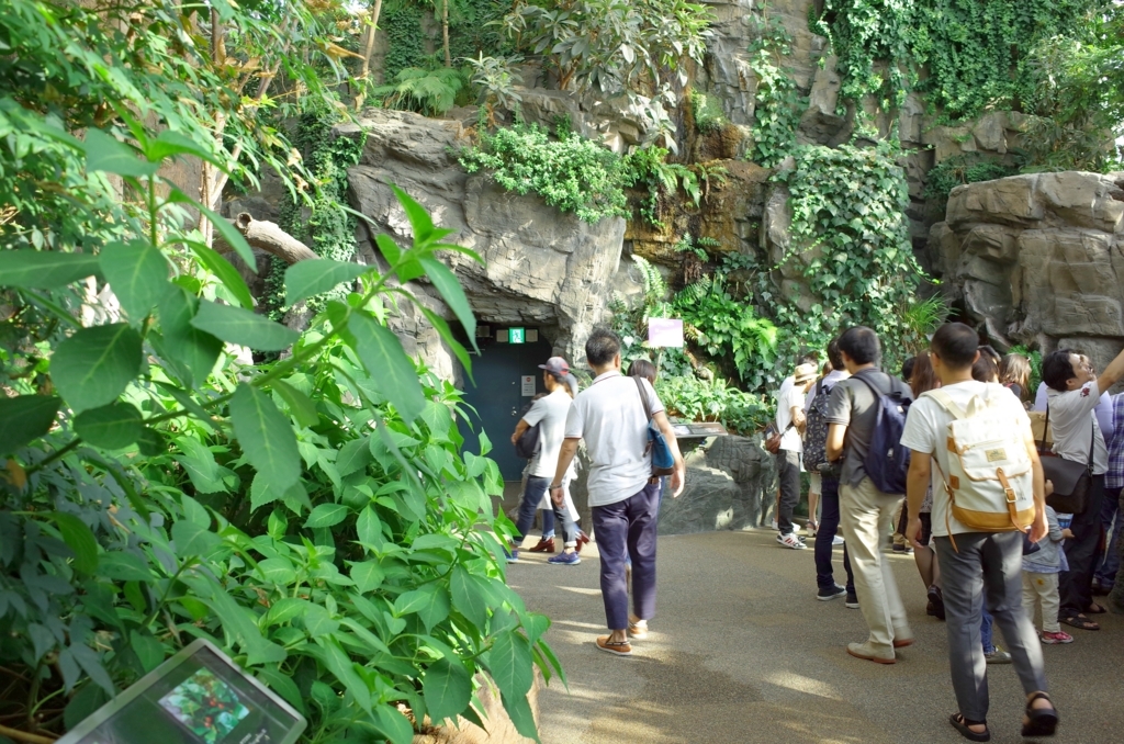 f:id:sweeteatime:20170616103111j:plain