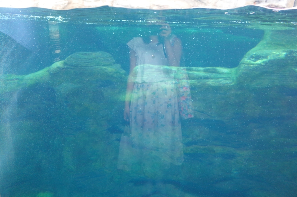 f:id:sweeteatime:20170616104521j:plain