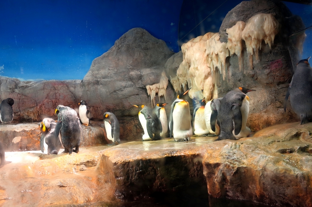 f:id:sweeteatime:20170616105559j:plain