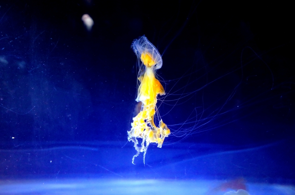 f:id:sweeteatime:20170616112130j:plain