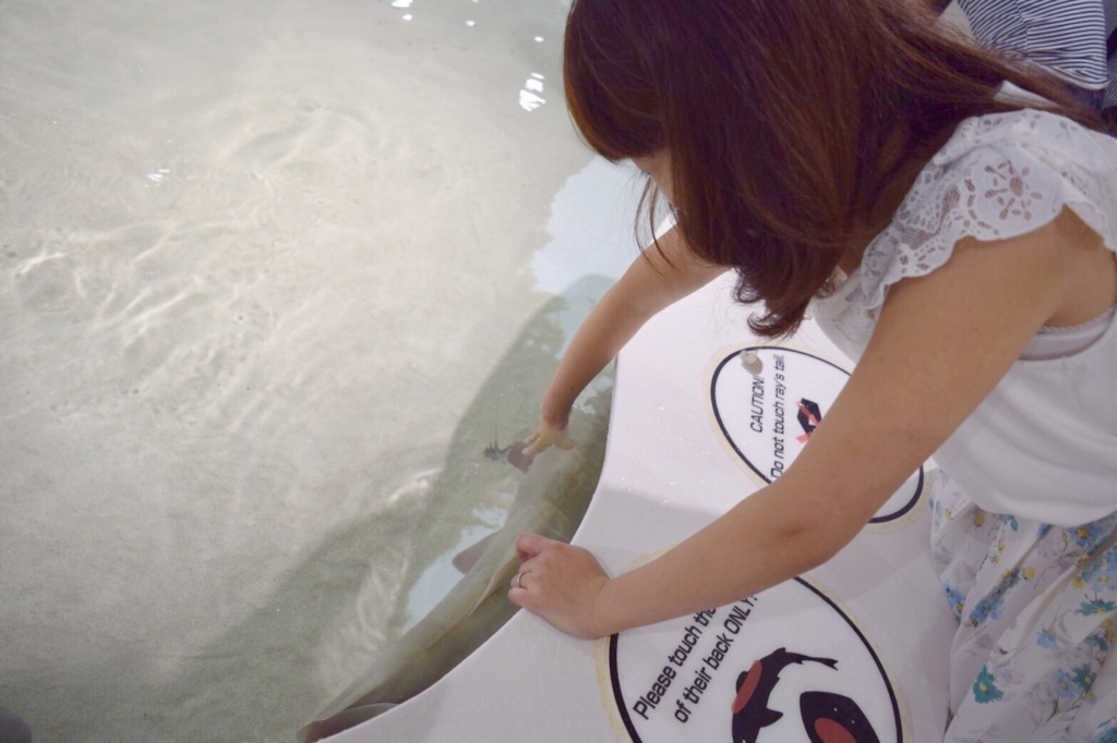 f:id:sweeteatime:20170616114136j:plain