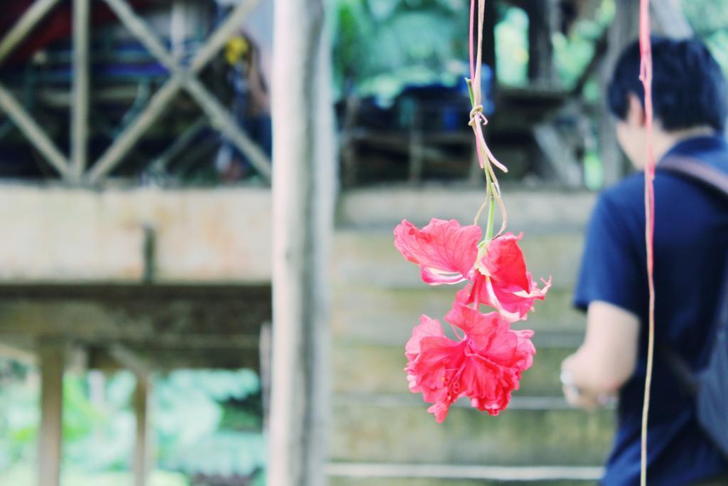 f:id:sweeteatime:20171013195013j:plain